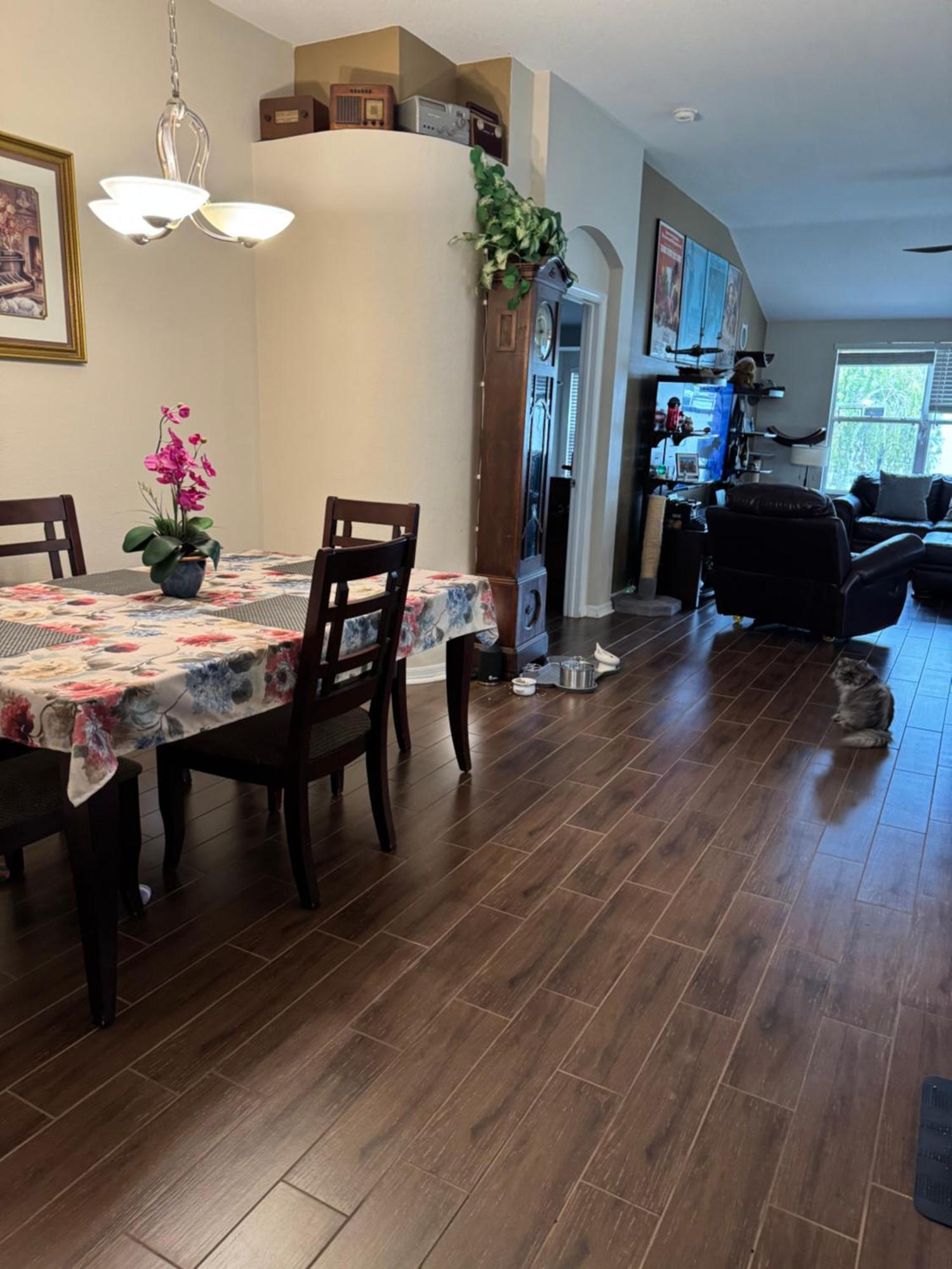 Ruskin Fl Private 2 Bdrm 1 Bath Suite Common Areas Shared With Host And Cat Dış mekan fotoğraf